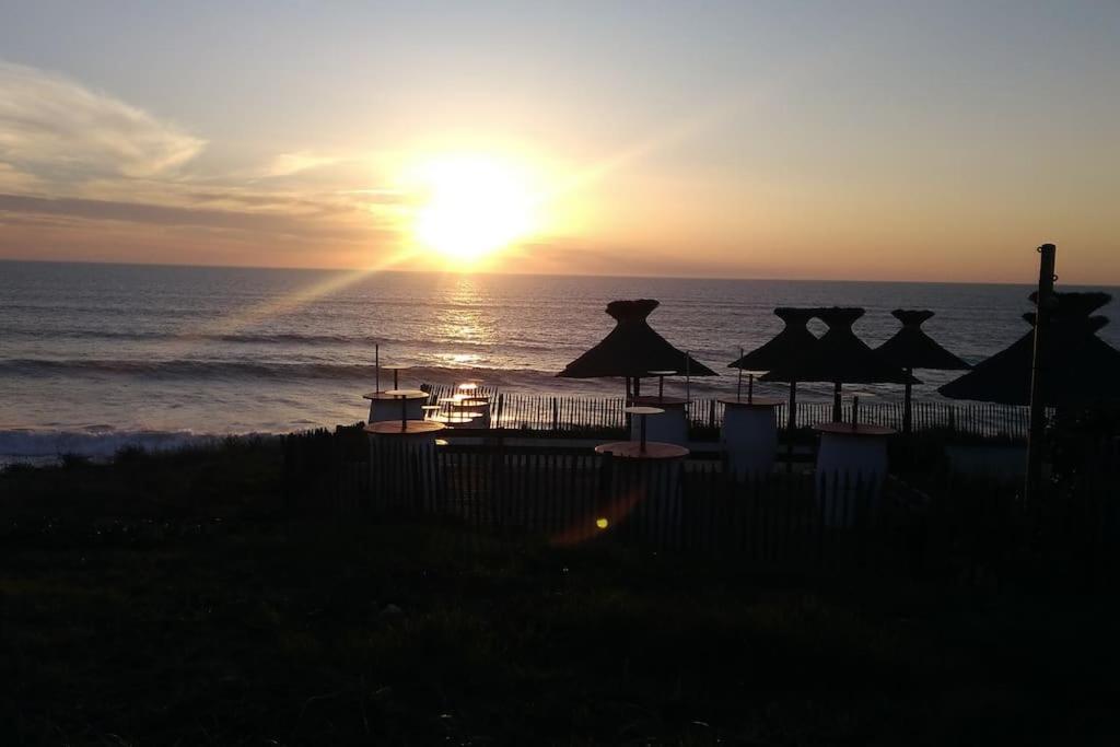 Appart' Dans Les Pins, Ocean, Lac, Piscine Lacanau Bagian luar foto