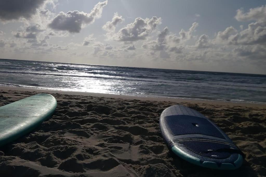 Appart' Dans Les Pins, Ocean, Lac, Piscine Lacanau Bagian luar foto