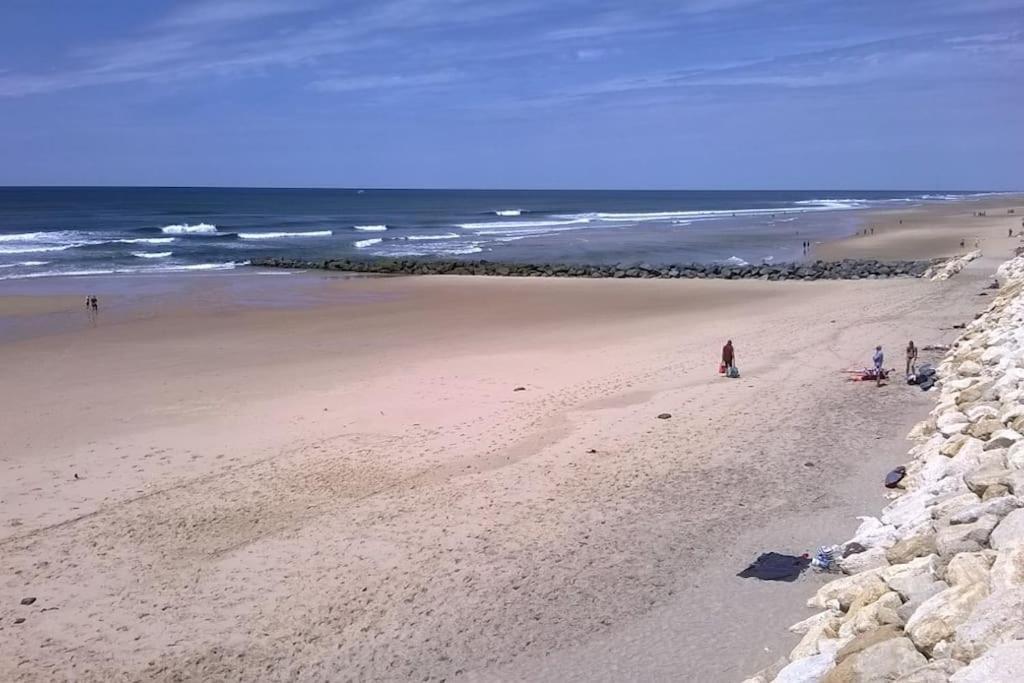Appart' Dans Les Pins, Ocean, Lac, Piscine Lacanau Bagian luar foto