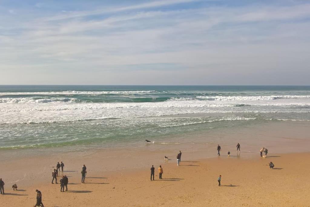 Appart' Dans Les Pins, Ocean, Lac, Piscine Lacanau Bagian luar foto